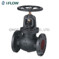 Dn15-Dn200 Pn16 Cast Iron Globe Valve with Flanges